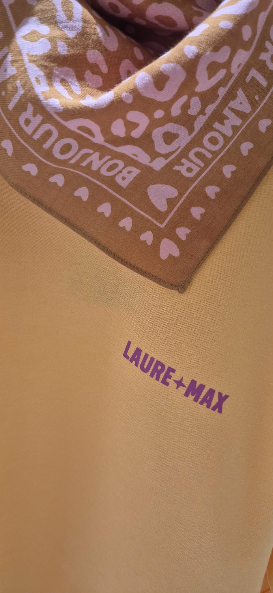 Petit Foulard Léo Rose/Marron